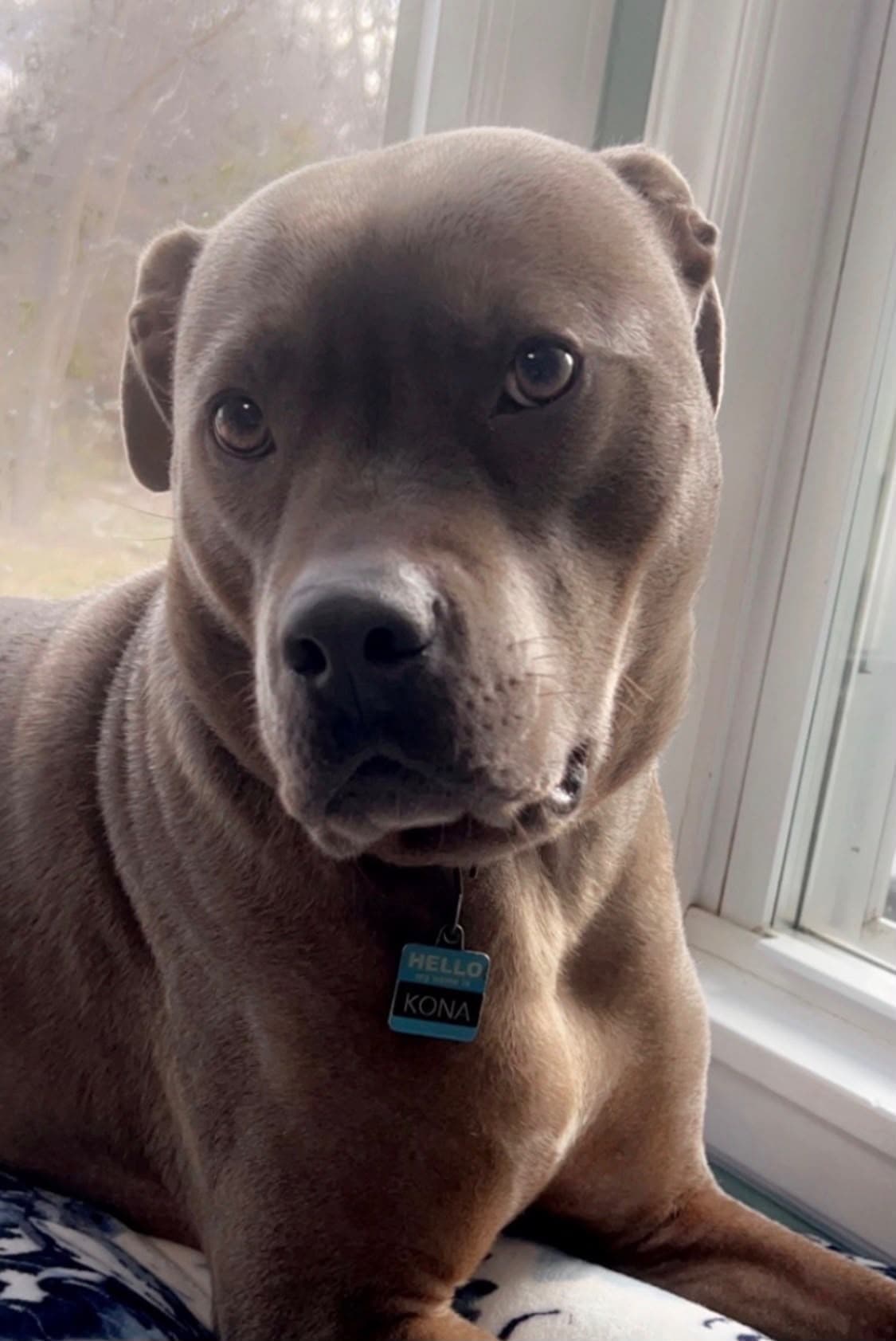 Kona, part of the sewKC team
